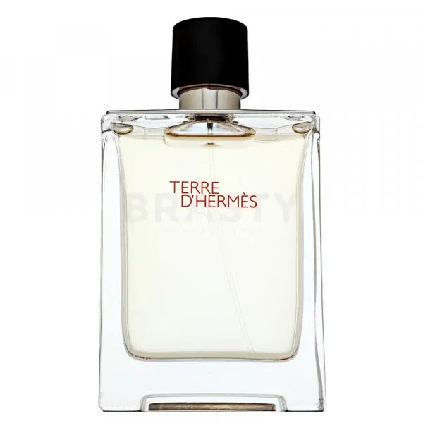 Hermes Terre D'Hermes Eau de Toilette Hombre 100 ml