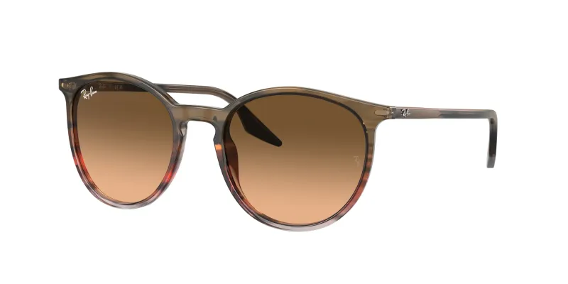 Ray - Ban Unisex Ray - Ban RB2204 13953B Gafas de sol Acetato Marrón Rosa Pantos Normal Sombreado