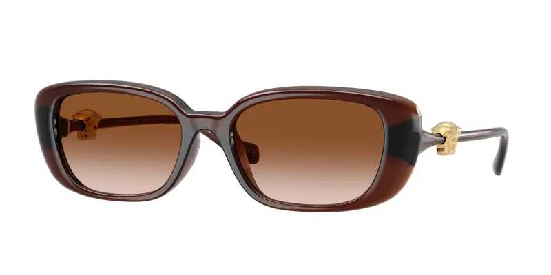 Versace Mujer Versace VE4504D 533213 Gafas de sol Inyectado Marrón Marrón Pillow Normal Matizado