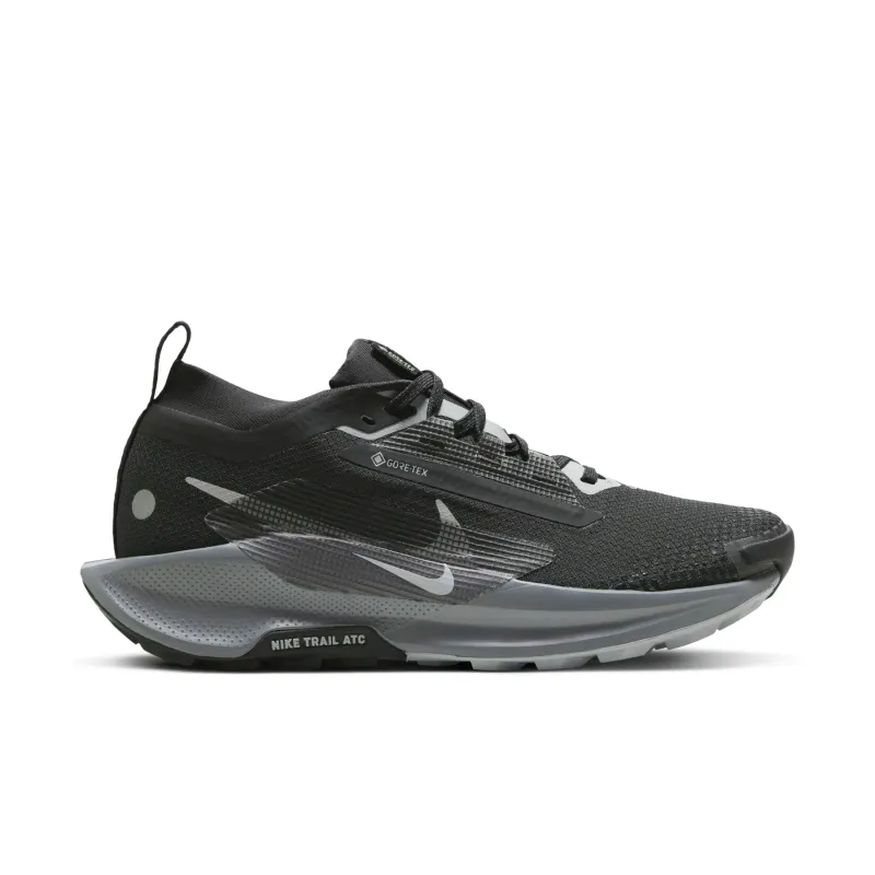 Zapatillas de trail mujer Nike Pegasus 5 Gore-tex