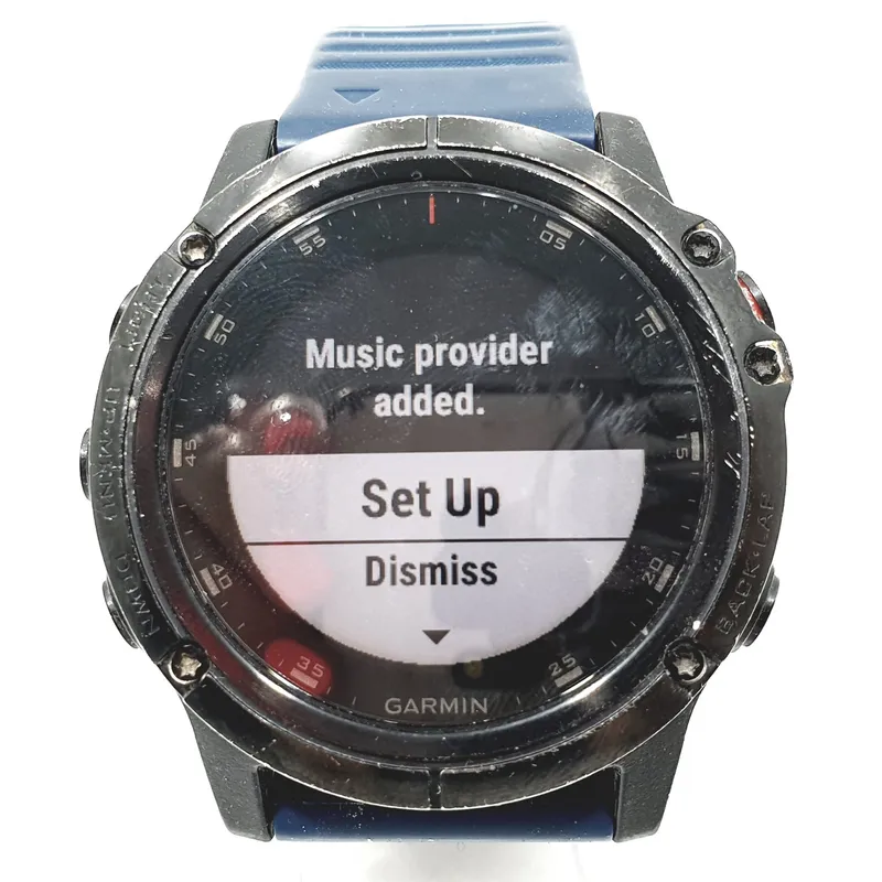 Smartwatch Garmin Fenix 5X Plus