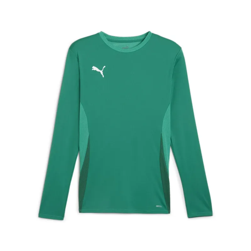 Camiseta manga larga Puma TeamGoal