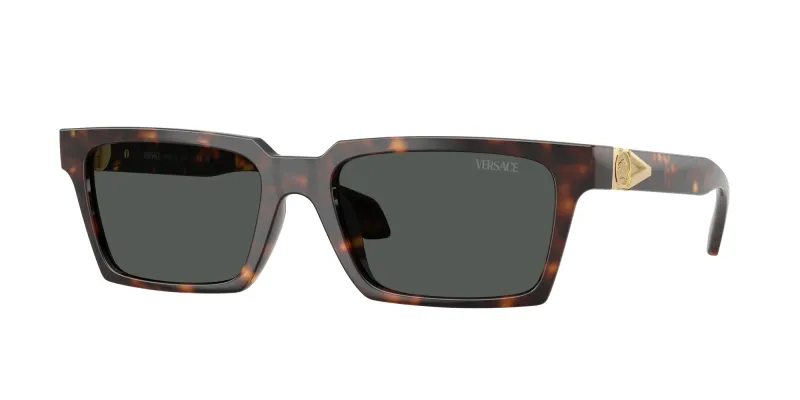 Versace Hombre Versace VE4490U 108/87 Gafas de sol Inyectado Tortuga Gris Cuadrada Normal