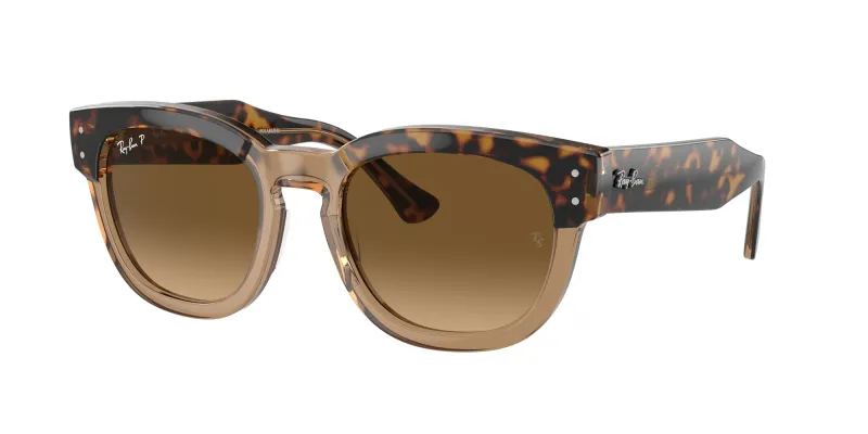 Ray - Ban Unisex Ray - Ban RB0298S MEGA HAWKEYE 1292M2 Gafas de sol Acetato Oro Marrón Cuadrada Polarizado Sombreado