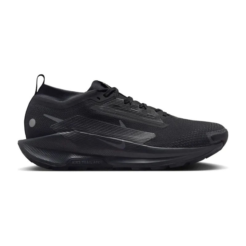 Zapatillas de trail Nike Pegasus 5 Gore-Tex