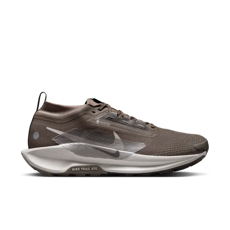 Zapatillas de running Nike Pegasus Trail 5 GORE-TEX