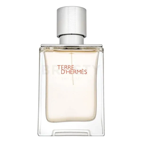 Hermès Tierras deHermès Eau Givrée Eau de parfum para hombre - recargable 50 ml
