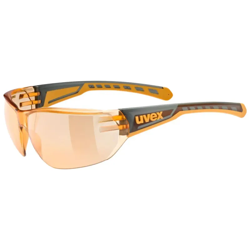 Gafas Uvex Equate